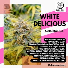 WHITE DELICIOUS x 3 Auto