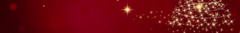 Banner da categoria Coleção Festas 2024