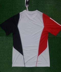 Remera entrenamiento 2024 - comprar online