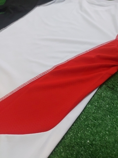 Imagen de Remera entrenamiento 2024