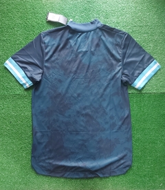 Camiseta AFA alternativa 2020 / 2021 - comprar online
