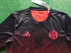 Remera entrenamiento 2024 - comprar online