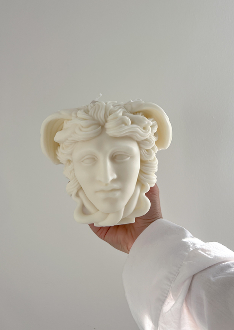 Vela Medusa