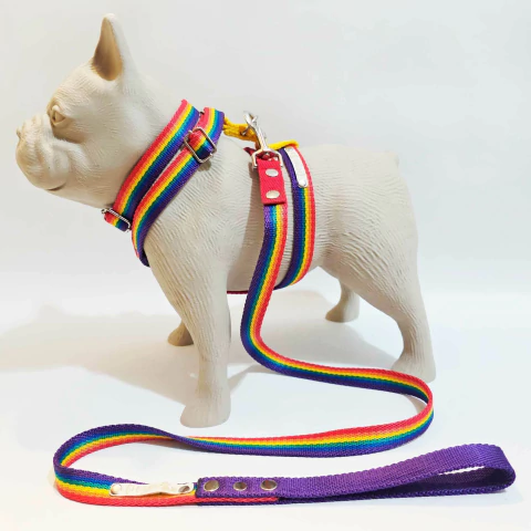 Combo Stripy H - comprar online