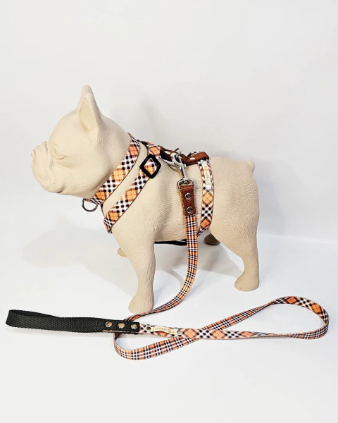 Combo Escoces H - comprar online