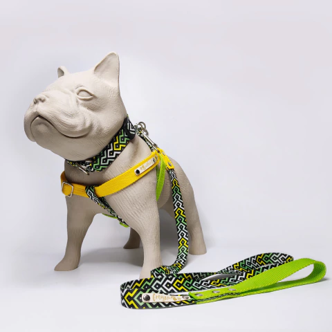 Combo Geo II - comprar online