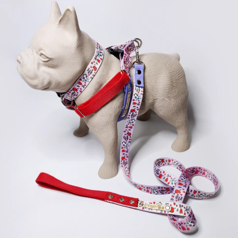 Combo Little Dog - comprar online