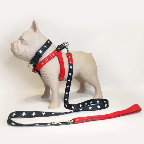 Combo STAR - comprar online