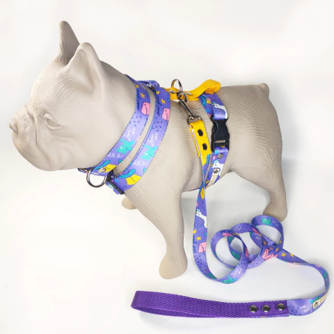 Combo Dino - comprar online