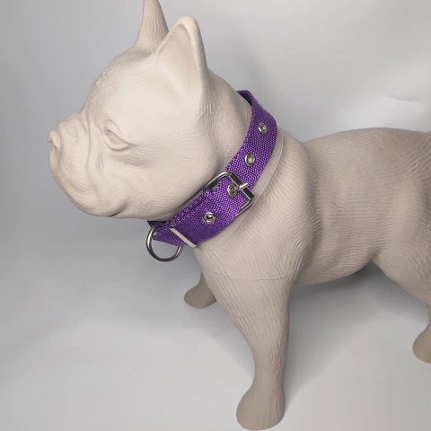 Collares hebilla metálica