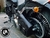 Alforja HD softail CL Skull - tienda online