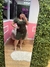 Vestido Canelado com Ziper 383 - loja online