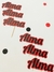 Toppers nombre Ladybug