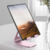 Imagen de Soporte para iPad/Tablet pIpad