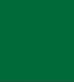 Blusa Manga Princesa Bufante Decote V na internet