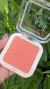 Blush Compacto - Labranche na internet