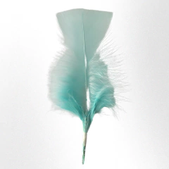 Plumas de gallo mini premium x 50 unidades - Mundo Vas Min