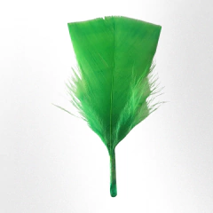 Plumas de gallo pequeño x 50 unidades - Mundo Vas Min