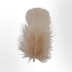 Plumas de gallo pequeño x 50 unidades - tienda online