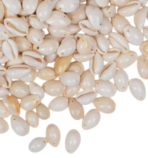 Buzios enteros naturales 13-16mm x 25gramos - comprar online