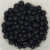 Semente de Açaí 8mm Com 50 Unidades - Produto Natural na internet
