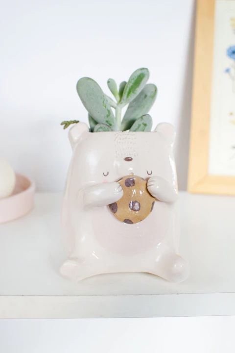 Maceta contenedor gordito - Comiendo galletita