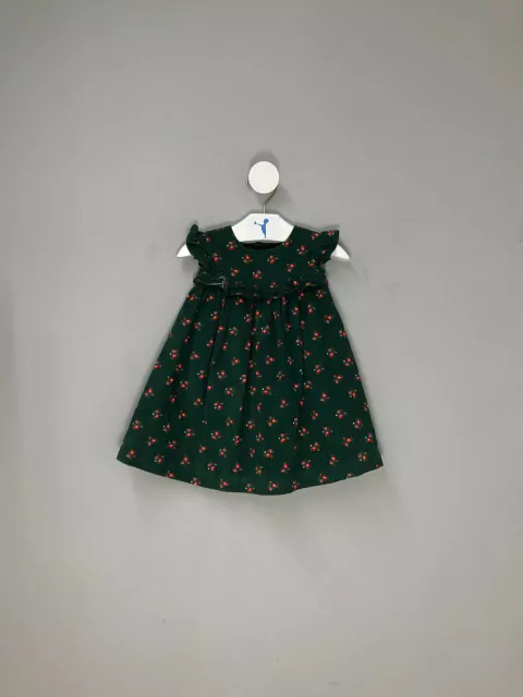 Vestido Infantil Veludo Verde Carter's