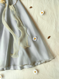 Saia cinza clara longa de organza godê - G