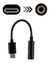 CABLE ADAPTADOR OTG HEMBRA MINI PLUG 3.5MM A USB TIPO C CELU - DB Store