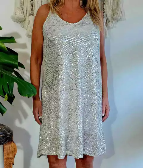 Vestido Shine Plateado (efectivo/transferencia $34.800)
