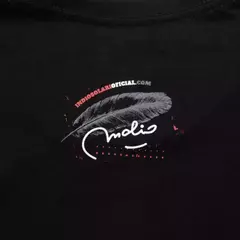 Remera Escudo - Ilustrada por Serafin - Mujer (DTG) en internet