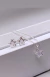 Conjunto Estrela