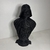 Busto Darth Vader en internet