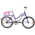 Bicicleta Enrique R20 Stars Dama 602 - Casa Mandrile