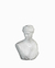 Busto de Afrodita en internet