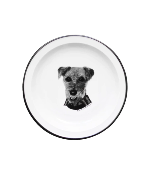 Plato Principal ByN Fox Terrier