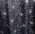 Spiderwebs (1,30 x 1,35mts) - comprar online