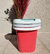 Balde 10 Lts Paris - comprar online