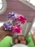 FAIXINHA UNICORNIO C POMPOM