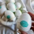 Egg Masturbador Masculino - Wavy