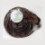 Esôfago de avestruz - Natuka - comprar online