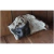 Focinho Bovino - 1unidade - Lecker - comprar online