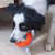 Bola Indoor Roller - Chuckit - Hello Pet - Petshop Online - Transforme a rotina do seu pet com mordedores naturais e enriquecimento ambiental.