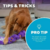 Brinquedo Outward Hound Twistiez Unicorn Large - comprar online