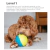 Brinquedo Interativo Outward Hound Bolinha Recheável Treat Tumble na internet