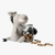 Pelúcia MY BFF Elvis the Dumb - Burro - Nandog - Hello Pet - Petshop Online - Transforme a rotina do seu pet com mordedores naturais e enriquecimento ambiental.