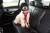Cinto De Segurança Para Carro - Kong Travel M&S Seat Belt Tether - loja online