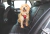 Cinto De Segurança Para Carro - Kong Travel M&S Seat Belt Tether - Hello Pet - Petshop Online - Transforme a rotina do seu pet com mordedores naturais e enriquecimento ambiental.