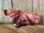 Focinho Suíno Grande - 5 Unidades - Lecker - comprar online