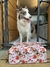 Box Valentine's Day - Hello Pet - Petshop Online